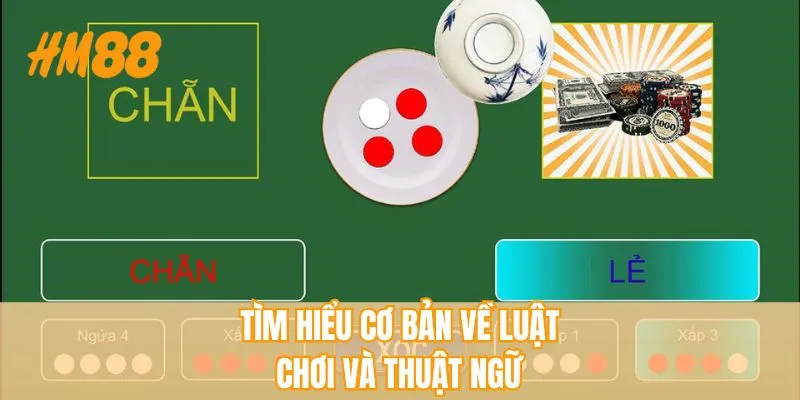 Tìm hiểu cơ bản về luật chơi và thuật ngữ